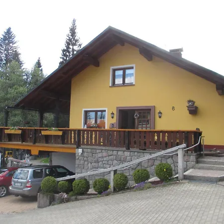 Haus Steininger Apartment Schluchsee Exterior photo