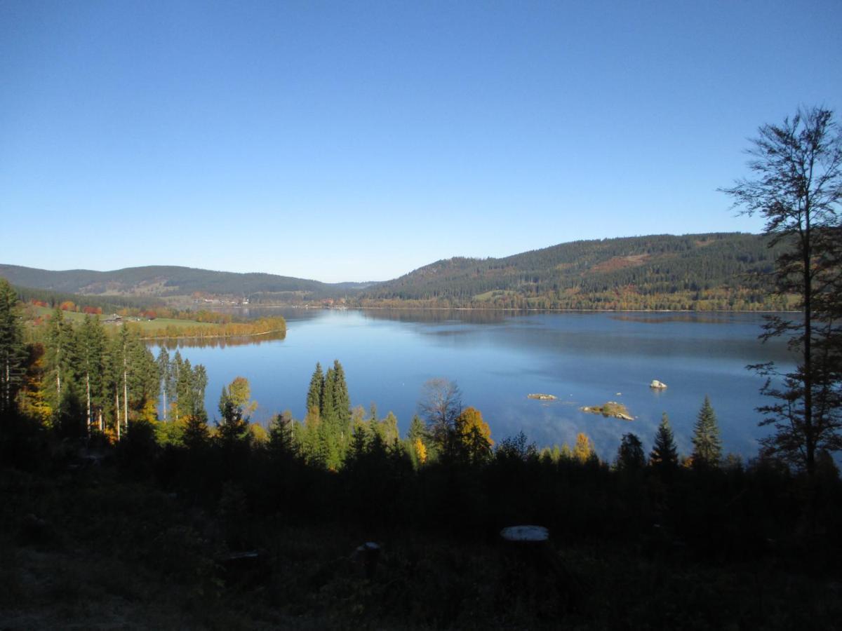 Haus Steininger Apartment Schluchsee